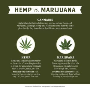 Hemp v Marijuana