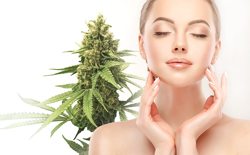 Cannabis and Beauty Products