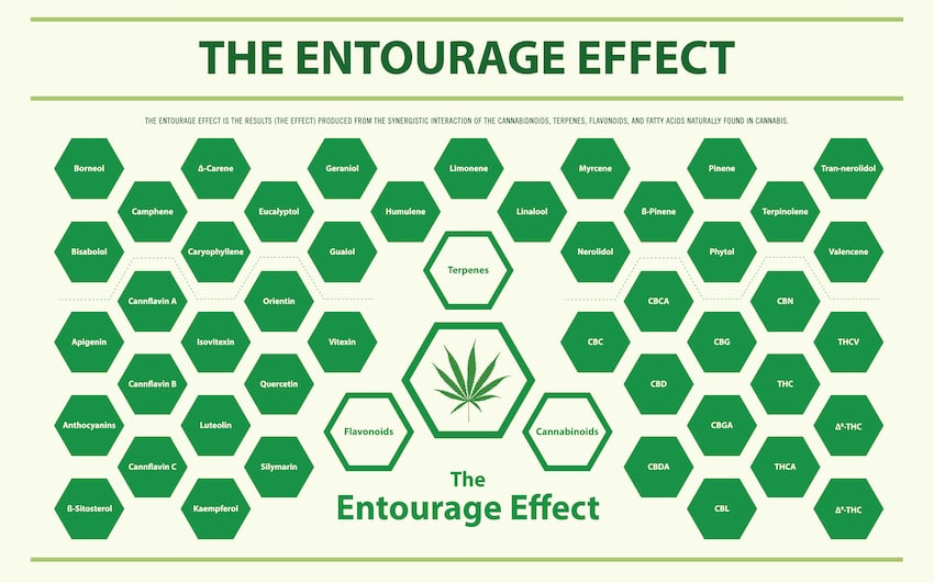 Entourage Effect Green