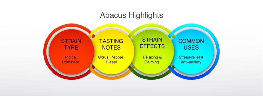 Abacus Highlights