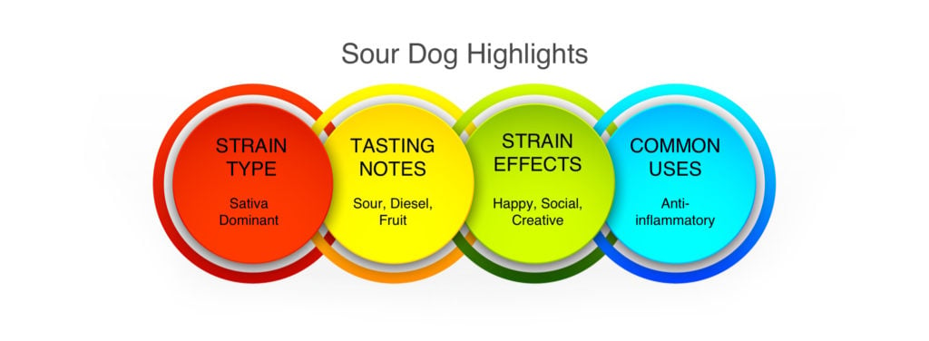Sour Dog Highlights