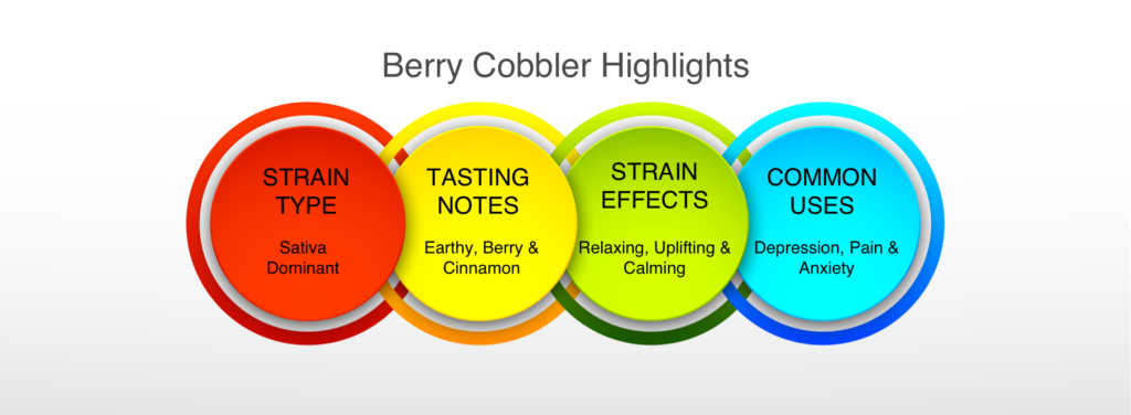 Berry Cobbler Strain highlights