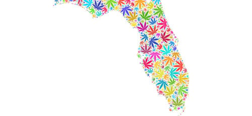 CBD In The Sunshine State – Is Hemp Flower Legal In Florida?