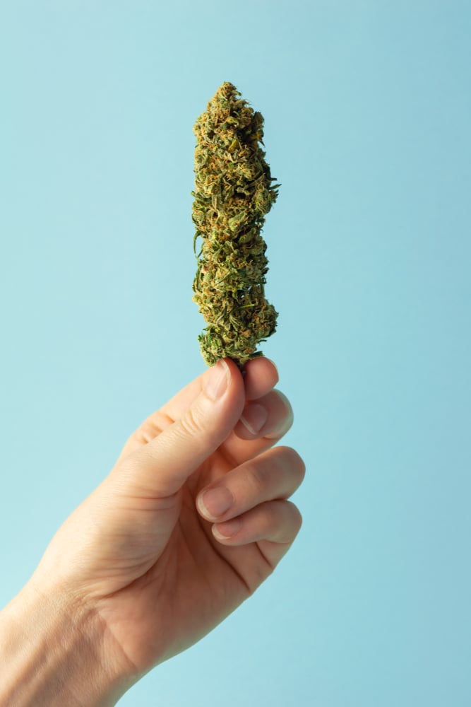 Is It Legal To Buy CBD Hemp Flower In Florida?