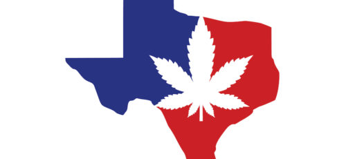 Lighting Hemp In The Lone Star State — CBD Hemp Legality In Texas