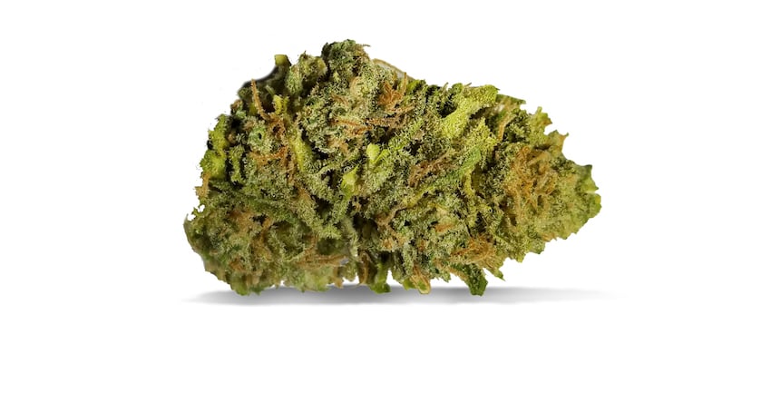Northern Lights Strain Review Featured bud