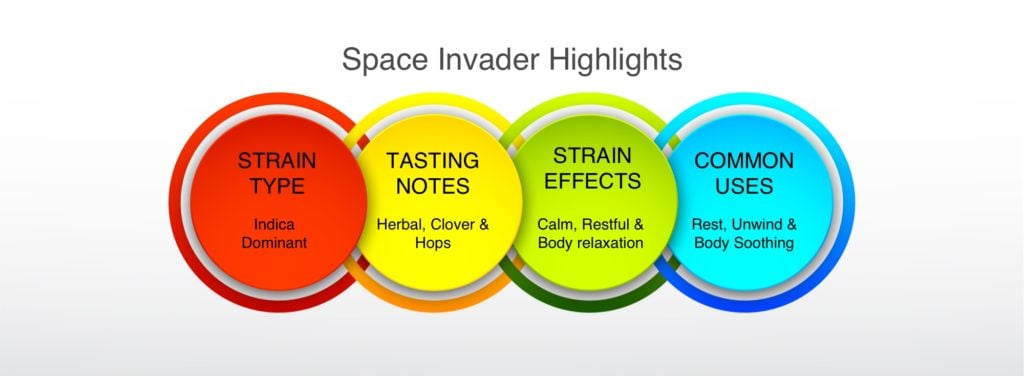 Space Invader Highlights