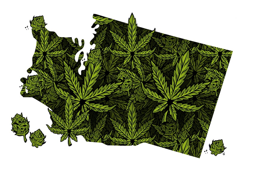 Washington Hemp Laws After The 2018 US Farm Bill