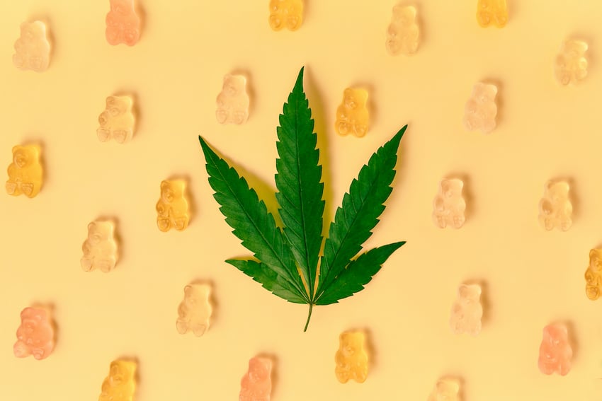 Could you overdose on THC edibles