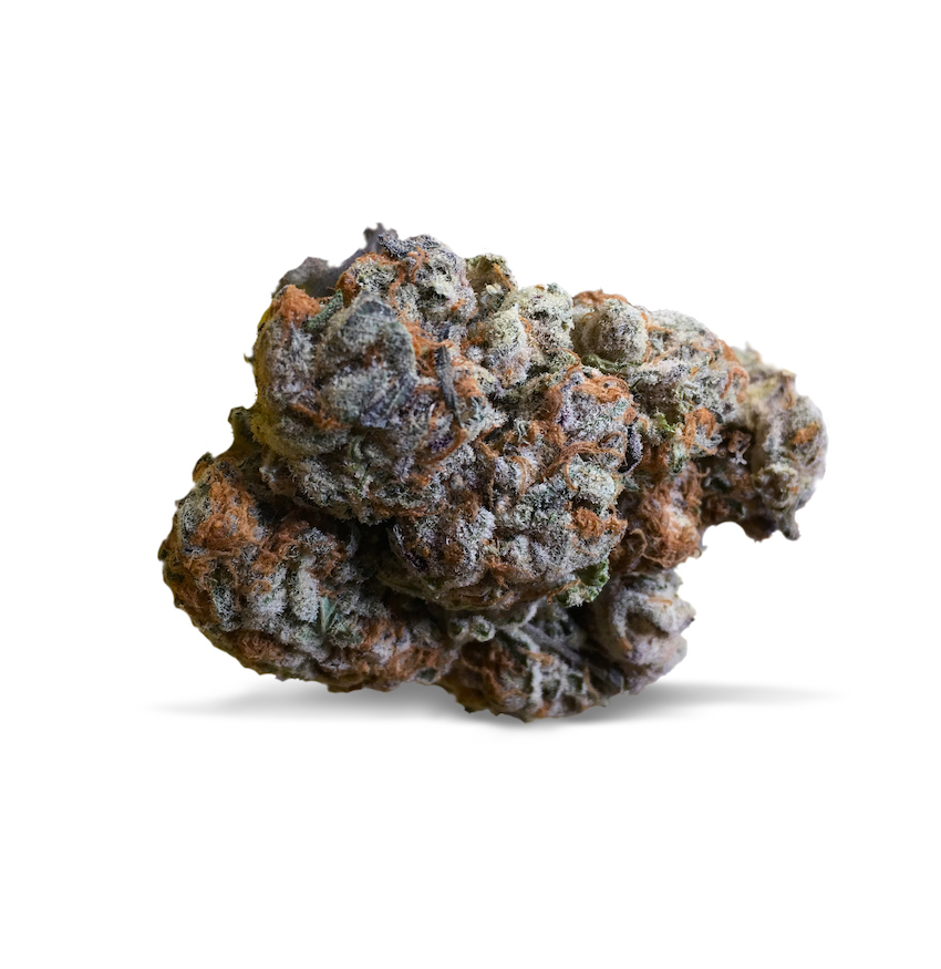 Purple Punch Strain Cannabis Featured bud