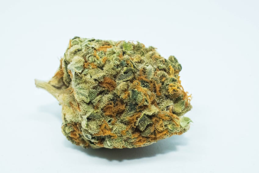 Skywalker OG Bud CBD strain low-thc cannabis