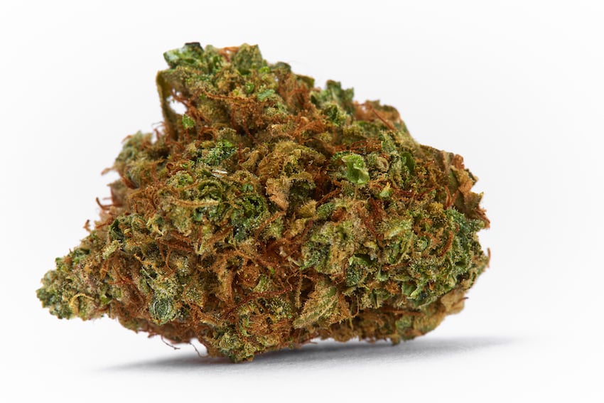 Mimosa Strain Review Featured bud