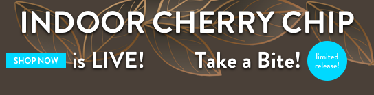 Cherry Chip sm Banner Live