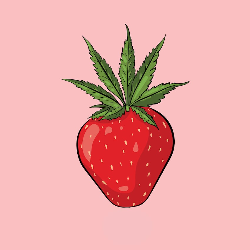 Strawberry Cough Strain Review cartoon
