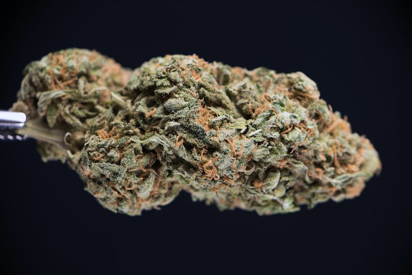 Review: White Widow da Weed or Hemp com Def Jam Fight for NY