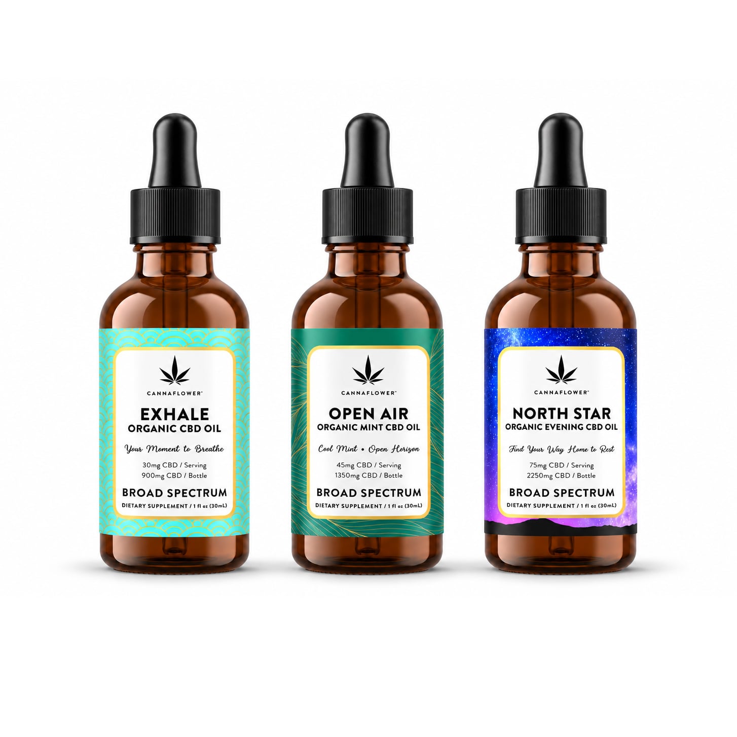 The Wayfinder – Broad-Spectrum CBD Oil Trio